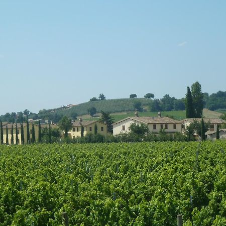 Agriturismo Villaggio Green Montefalco Exterior foto