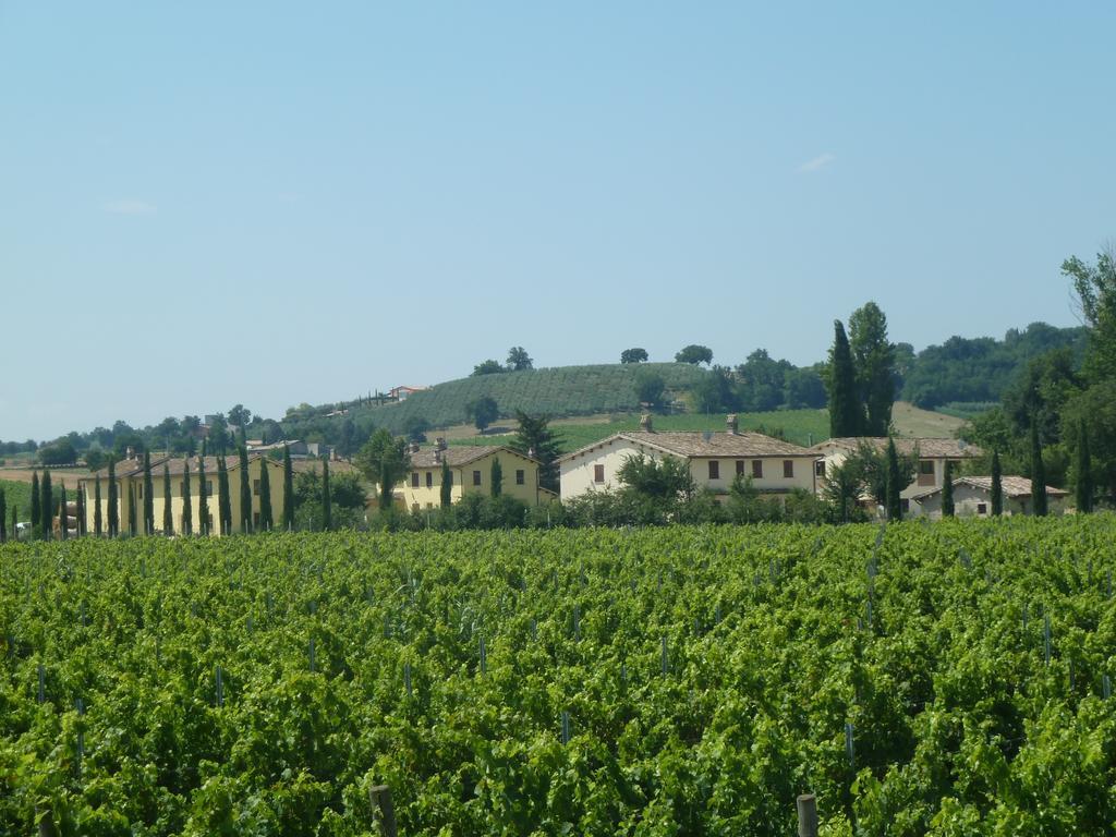 Agriturismo Villaggio Green Montefalco Exterior foto